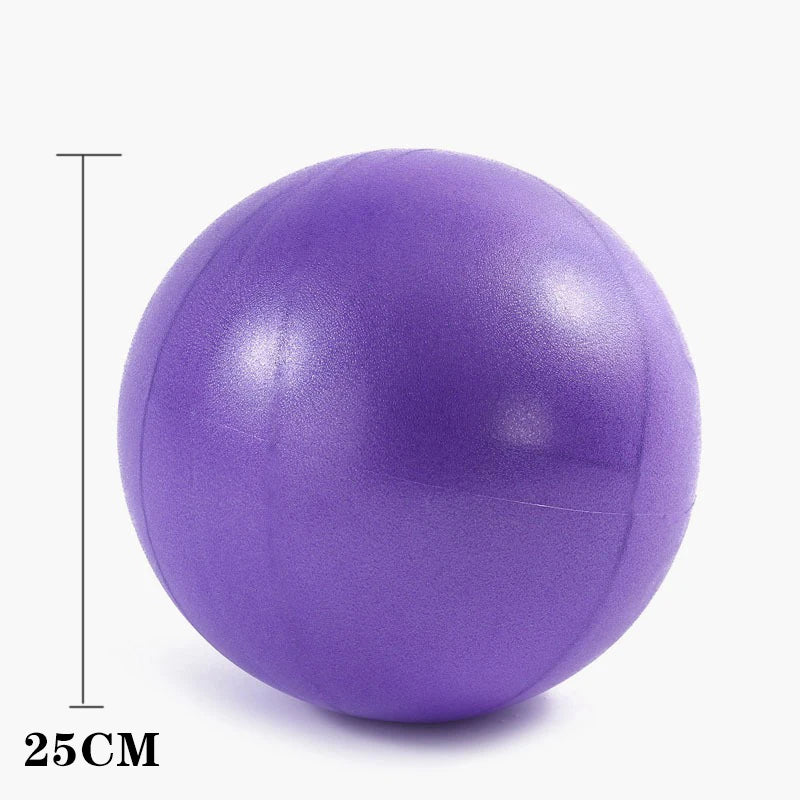 Pilates Ring Circle Set 15 Pcs Exercise Accessories